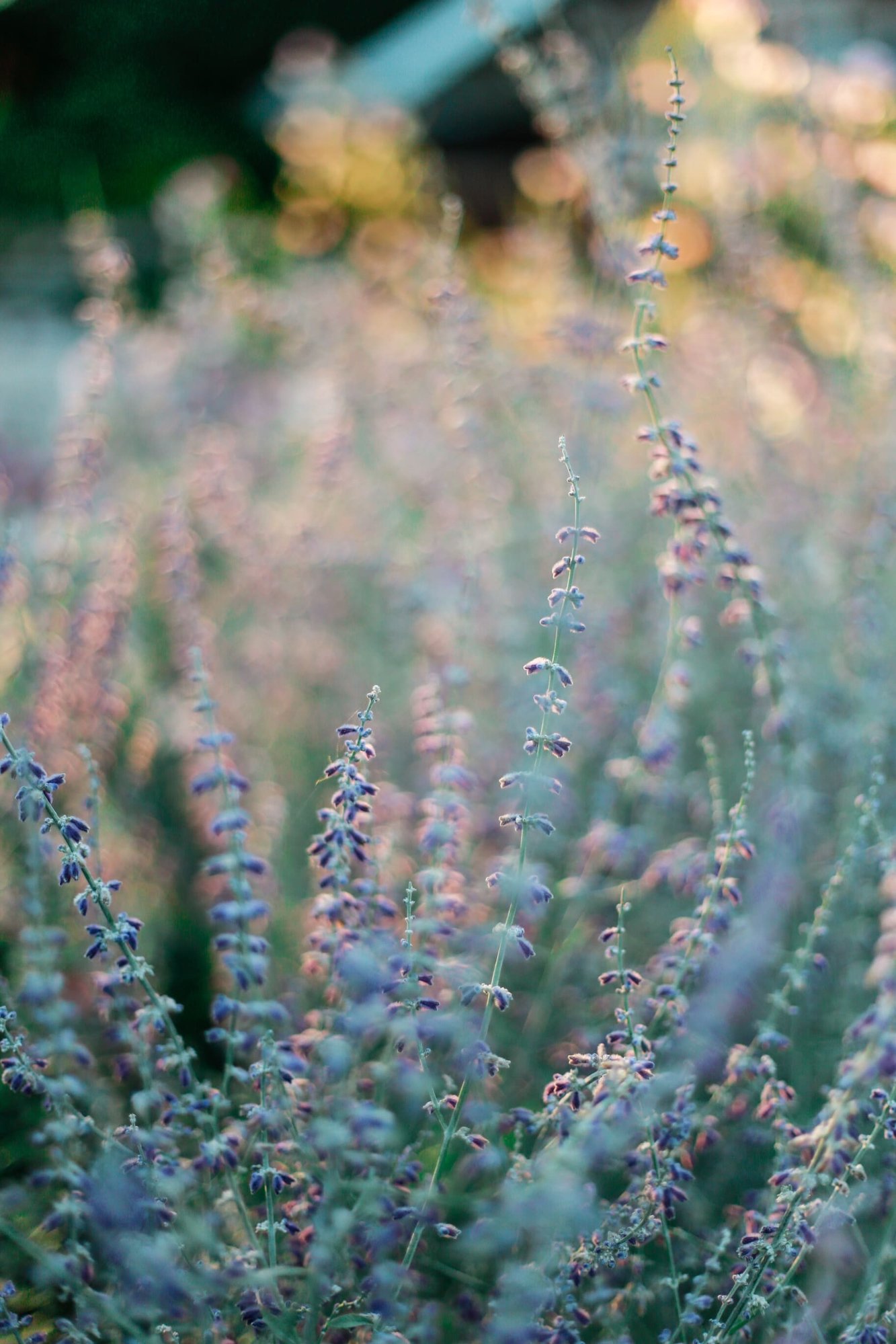 ornella-binni-C4X2hE91dow-unsplash